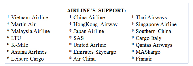 airlinessupport